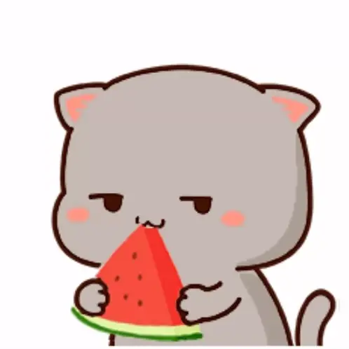 Goma the cat is enjoying a refreshing slice of watermelon. The adorable gray cat looks pleased with its snack.