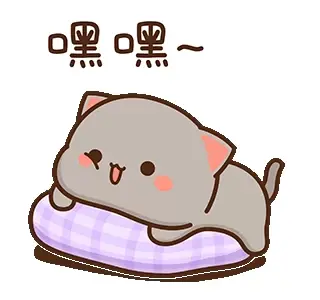 Goma is relaxing on a comfy pillow. The cute gray cat looks super happy and chill.