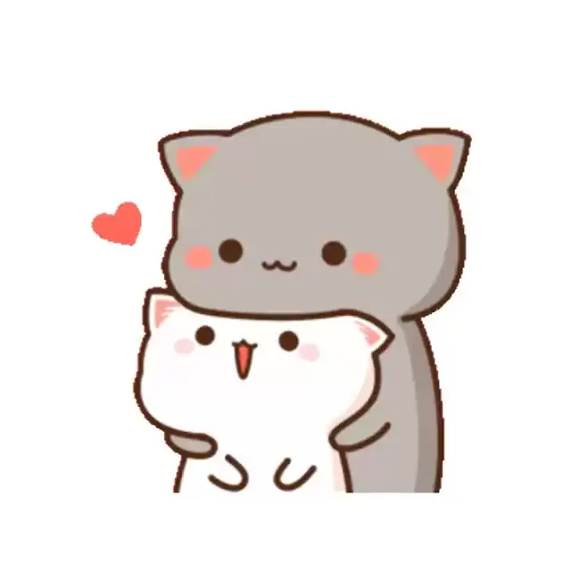 Two adorable mochi cats, peach and goma, are hugging. One gray cat is embracing a white cat, both exhibiting affectionate behavior.