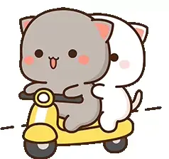 Two adorable Mochi Cats are riding a yellow scooter together. The gray cat, Goma, is driving while the white cat, Peach, holds on from behind.