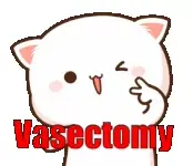 A cute Peach mochi cat is promoting vasectomies with a wink and peace sign. It makes light of a sensitive subject with a humorous animation.