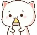 Peach is drinking from a bottle. The cute cat seems content and happy.