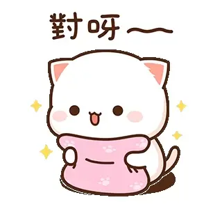 Peach the cat is holding a pink blanket. She is smiling and looks happy.