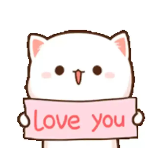 A cute white cat named Peach is happily drinking from a straw. Later, Peach holds up a sign that reads "Love you," surrounded by hearts.